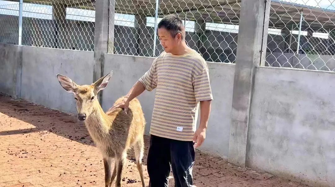 皇冠直营网怎么样